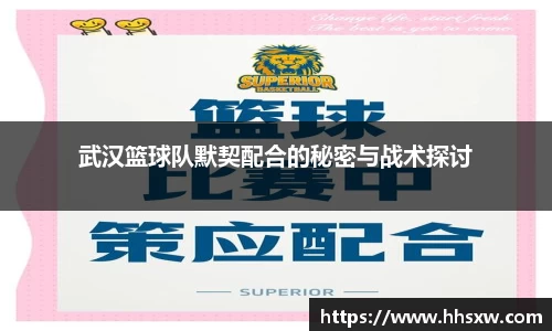 武汉篮球队默契配合的秘密与战术探讨